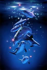 imagenes de delfines