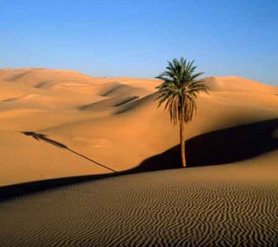 desierto desolado
