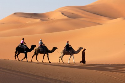 desierto camellos