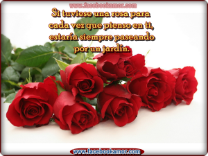 imagenes-de-rosas-rojas-con-frases-de-amor-imagenes-de-flores-romanticas-para-facebook