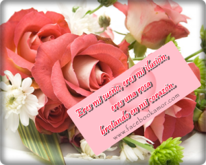 postales-romanticas-para-dedicar-amor-con-flores