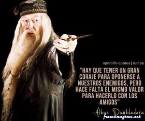 Frases Albus Dumbledore 11