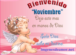bienvenidos-noviembre-2014