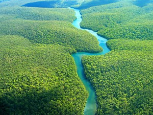  rio Amazonas