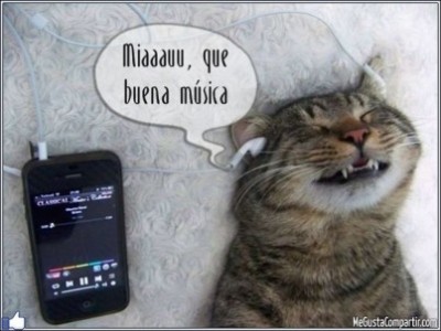 gato-musica-403x303