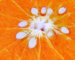semillas de naranja para el dolor de cabeza