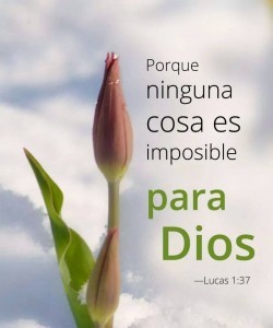 Frases-Cristianas-Con-Nuevas-Imagenes-Lindas-De-Dios-1-250x300