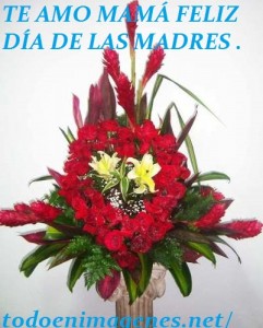 flores-arreglos-florales-regalos-dia-de-las-madres-amor-mdn-3457-MLM4195285697_042013-O